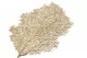 Gold artificial coral branch 5
