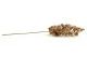 Gold artificial Eucalyptus Spray 4