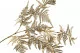 Gold artificial Fern 7