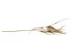 Gold artificial Willow Eucalyptus Spray 4