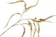 Ramo di Eucalipto Willow artificiale Dorato 7