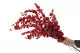 Eucalyptus Stuartiana stabilis&eacute; Rouge 4