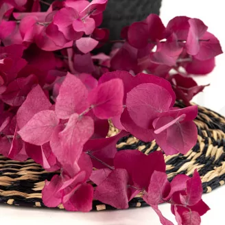 Preserved Stuartiana Eucalyptus Raspberry