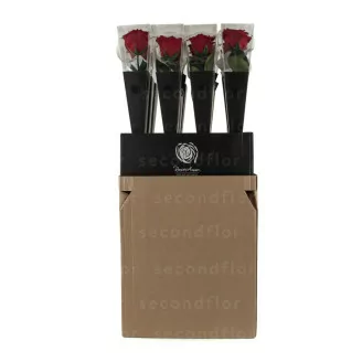 Preserved Rose on stem 30 cm Red - Individual premium sleeve (x12)