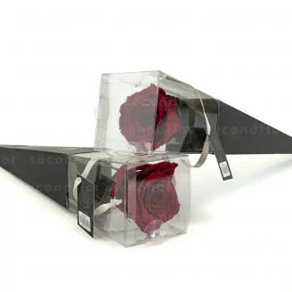Rosa stabilizzata con stelo 30 cm Rosso - Scatola regalo individuale (x12)