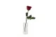 Rose stabilis&eacute;e sur tige Rouge 30 cm - Bo&icirc;te cadeau individuelle (x12) 6