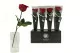 Rose stabilis&eacute;e sur tige Rouge 30 cm - Bo&icirc;te cadeau individuelle (x12) 5