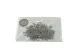 Hoja de Cineraria preservada Verde Plateado 9