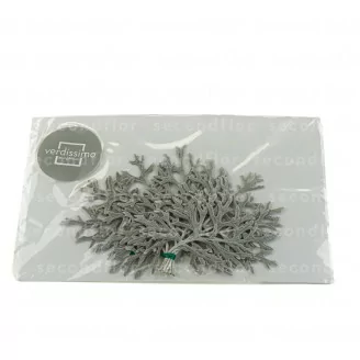 Konserviertes Cineraria Blatt Silbergr&uuml;n (x10)