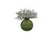 Foglia di Cineraria stabilizzata Verde Argento (x10) 3