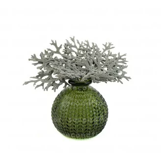 Preserved Cineraria Leaf Silver Green (x10)