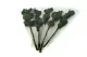 Konservierter Rosenstiel 50 cm (x5) 2