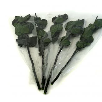 Preserved Rose stem 50 cm (x5)