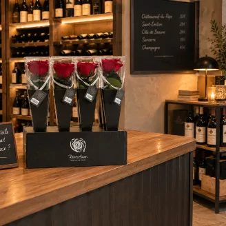 Rose stabilis&eacute;e sur tige Rouge 30 cm - &Eacute;tui premium individuel (x12)