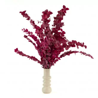 Preserved Stuartiana Eucalyptus Raspberry