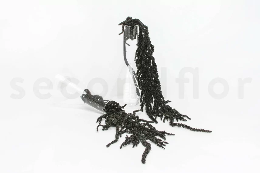 Amarante stabilis&eacute;e Noir