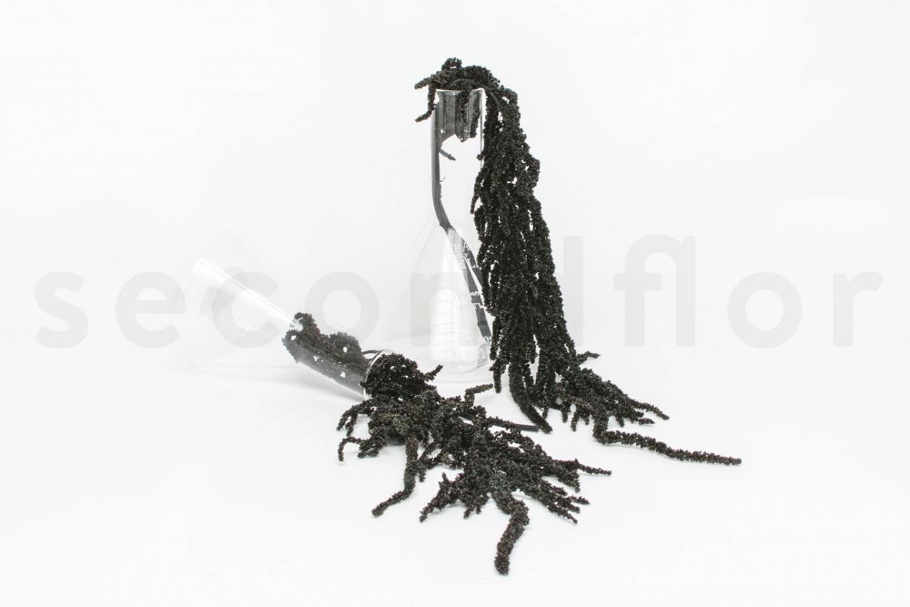Amarante Noire Stabilisee Secondflor