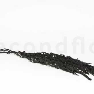 Amarante stabilis&eacute;e Noir