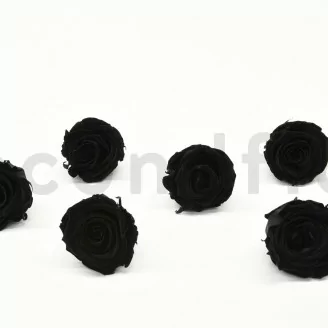 Rosa preservada XL Negro (x6)