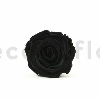 Rosa stabilizzata XL Nero (x6)