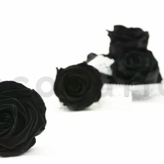 Rosa stabilizzata XL Nero (x6)
