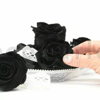 Rosa stabilizzata XL Nero (x6)