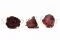 Rose stabilis&eacute;e XL Bordeaux (x6) 4