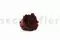 Preserved Rose XL Burgundy (x6) 6