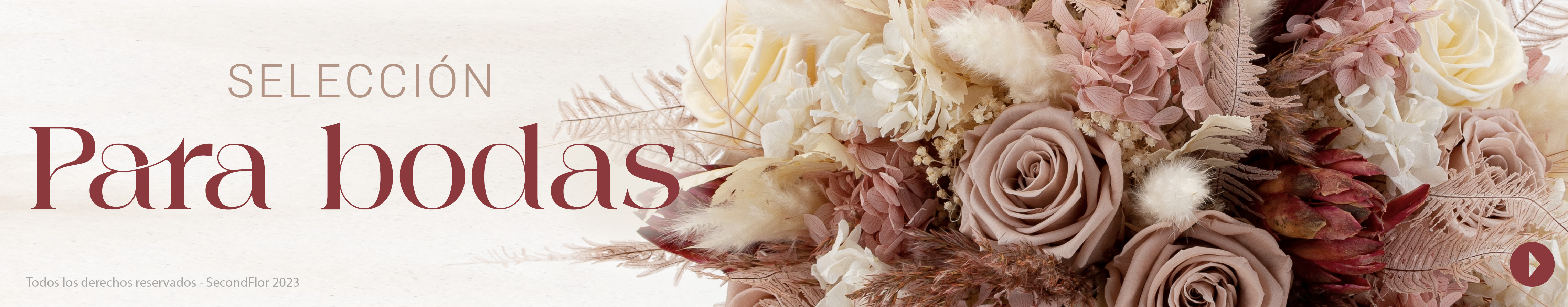summer-festival-banner-cat-ES.jpg
